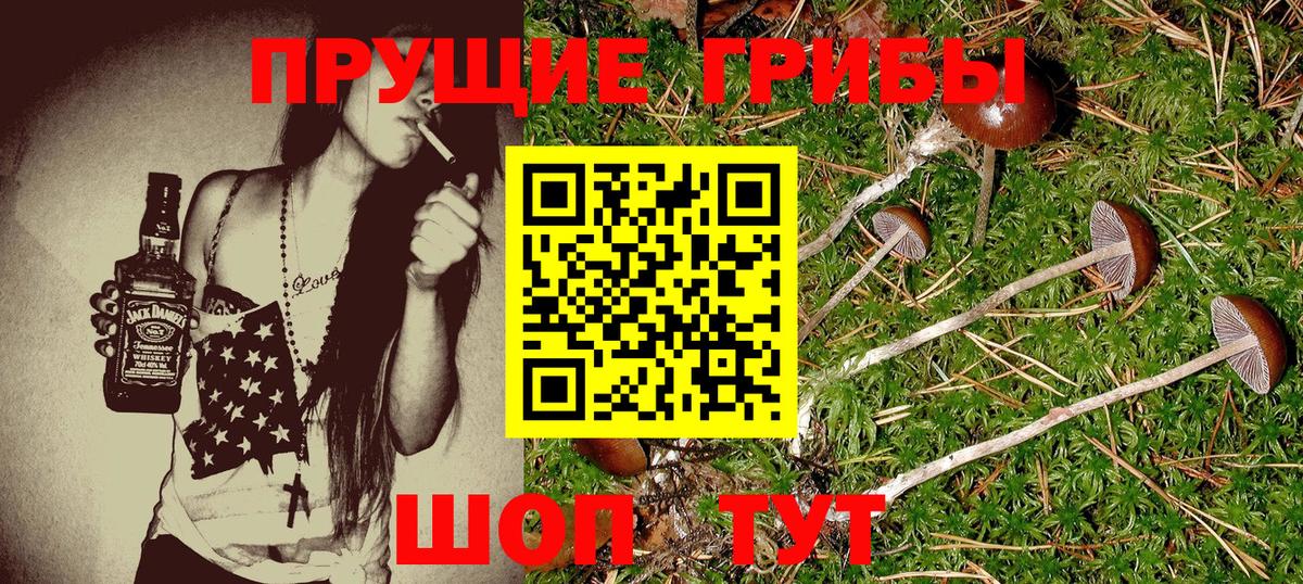 Галлюциногенные грибы Cubensis Урюпинск