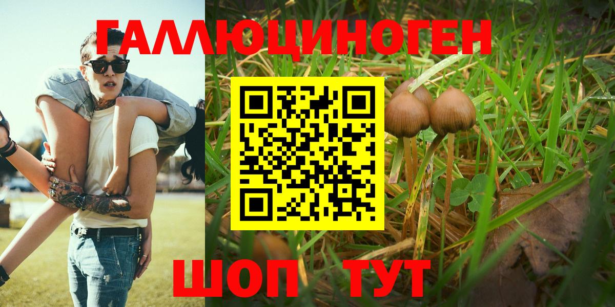 Галлюциногенные грибы Magic Shrooms  Вход с VPN  Урюпинск 